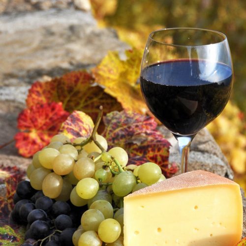 Wine shore tours in Greece